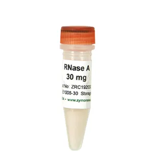 RNase A